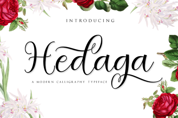 Hedaga: A Romantic Script Font for Modern Campaign Design