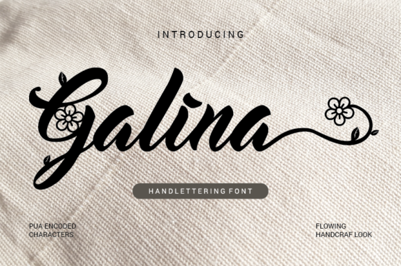 How Choosing the Galina Font Transformed My Small Business Branding