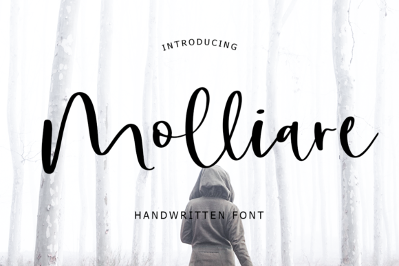 Molliare: A Charming Script Font for Makers