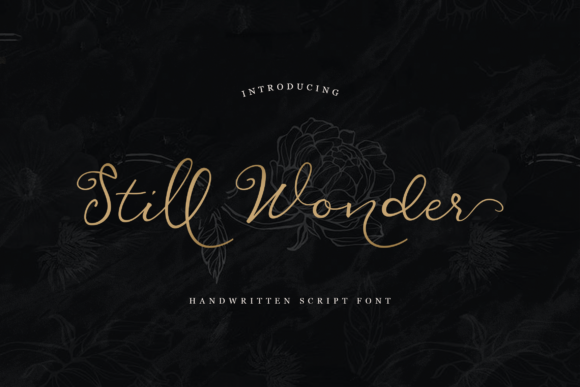 Still Wonder: A Premium Script Font for Campaigns
